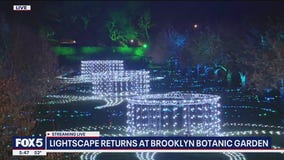 Lightscape returns at Brooklyn Botanic Garden