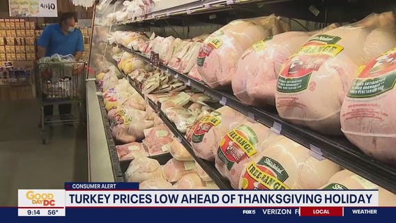 Turkey prices low ahead of Thanksgiving