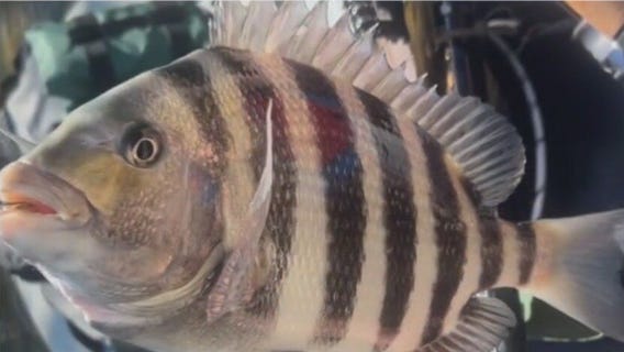 Full moon brings flushing water for next week