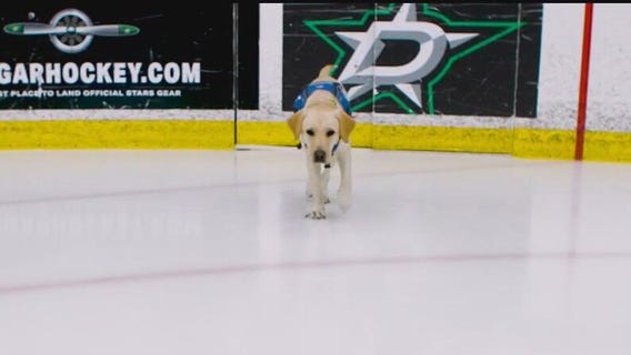 Poppy's Picks: Jets vs. Stars