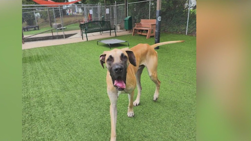 Meet Flobberworm: Our Pet of the Day