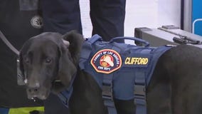 Newsom deploys teams to assist in Central Texas