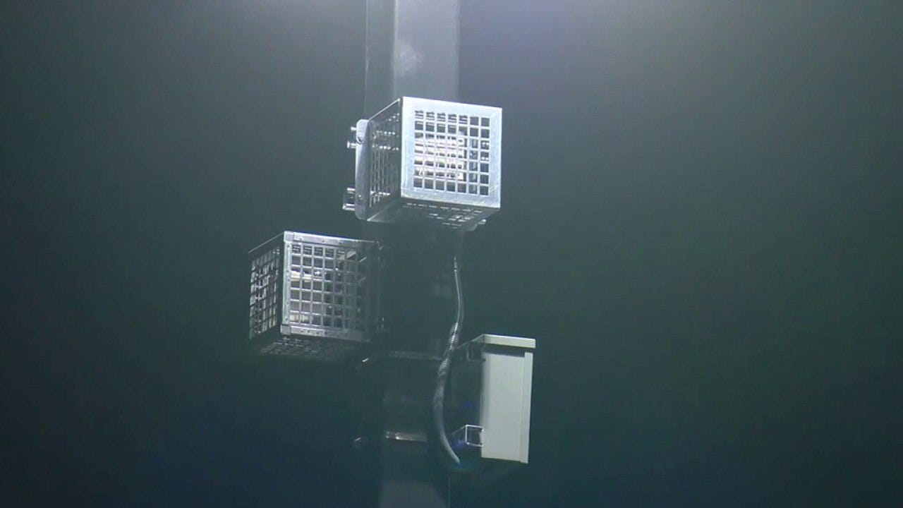 Noise deterrent devices being used at LA Home Depot 