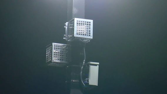 Noise deterrent devices being used at LA Home Depot 