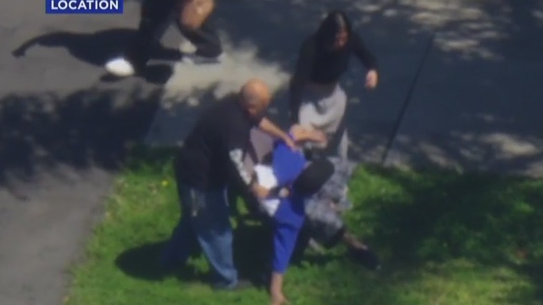 Pursuit suspect tackled in citizens arrest