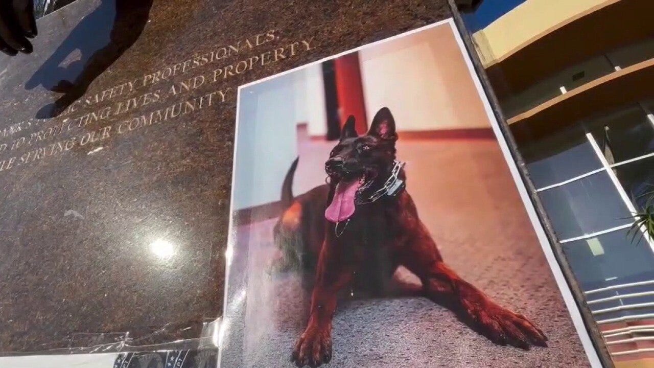 Bodycam video released of K9 Spike's death