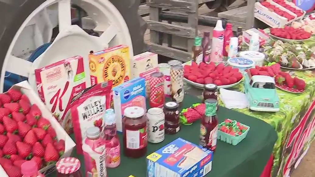 Celebrating National Strawberry Day at Tanaka Farms