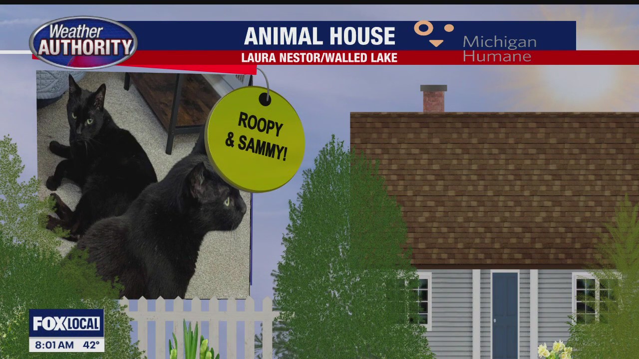 Welcome Roopy, Sammy, Chunk, Mr. Bentley