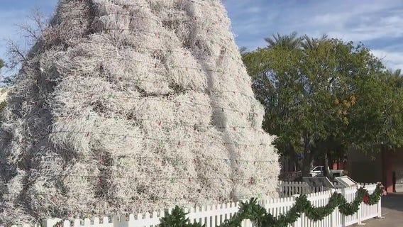 A preview of Chandler's Tumbleweed Christmas Tree lighting, a decades-long tradition