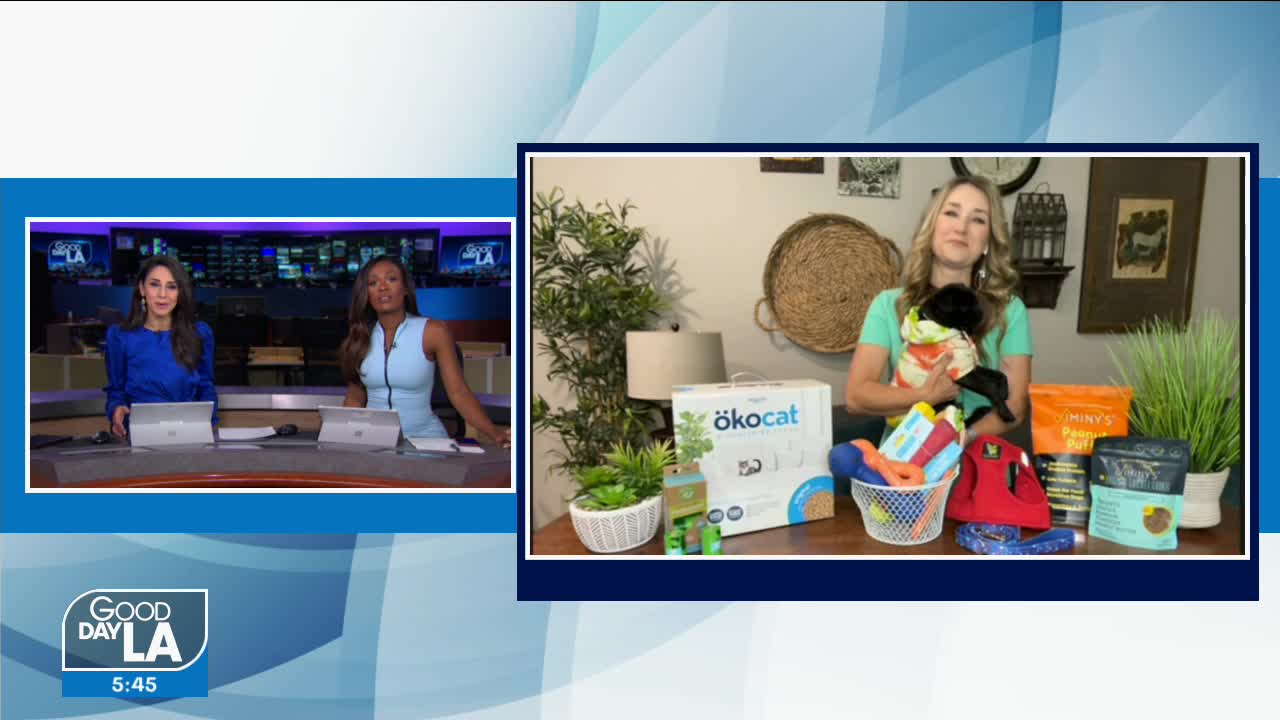 Living green with your pet