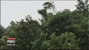 Hurricane Irma hits Puerto Rico