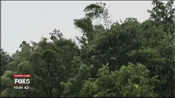 Hurricane Irma hits Puerto Rico