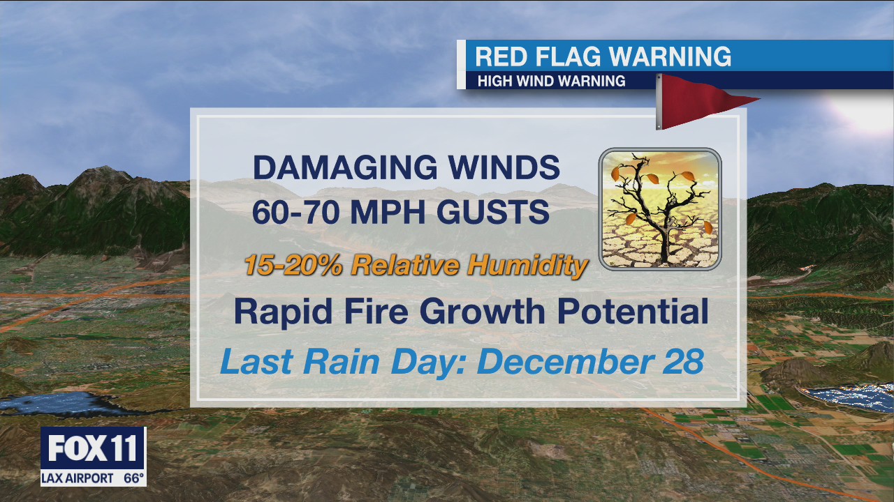 Weather Forecast for Tuesday, January 19