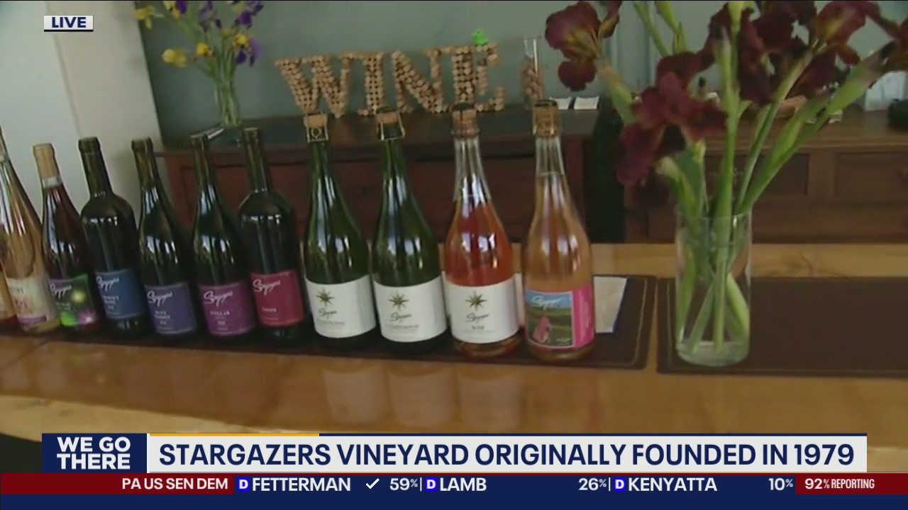 Stargazers Vineyard is the perfect place for a picnic