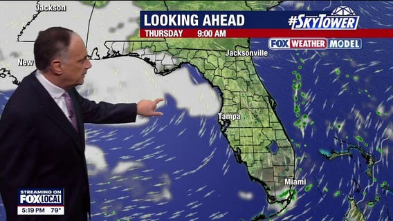 Tampa Bay weather | Unseasonably warm through the weekend