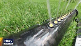 Tips to help your lawn make it through the drought