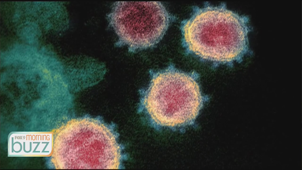 The race to find a vaccine is on at the U, how the Minnesota team is taking a different approach