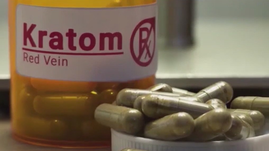 Florida AG, FDA target kratom in push for federal ban