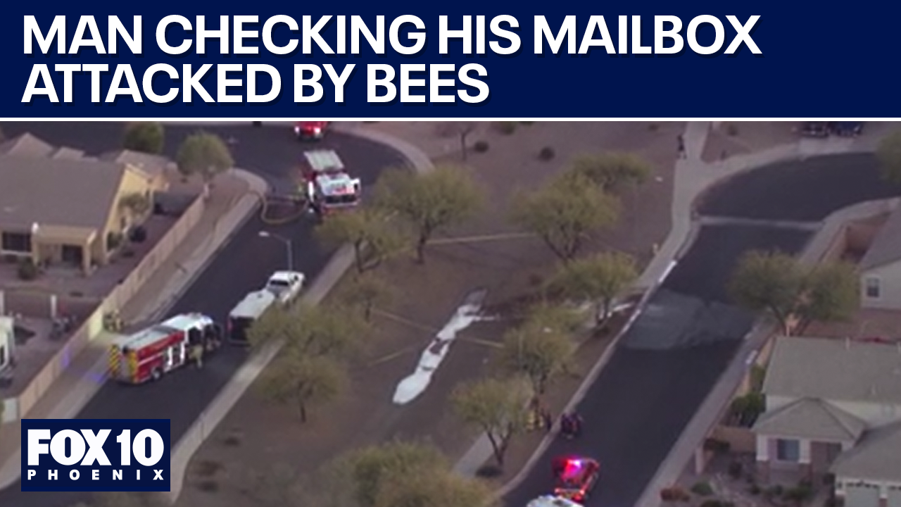 Man hospitalized after bee attack in Surprise