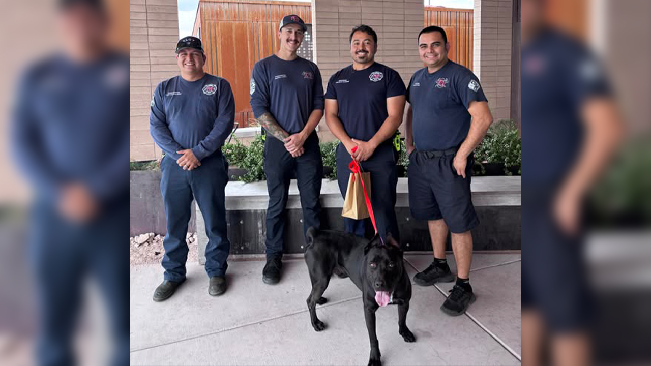 Eloy Fire Department gives forever home to dog