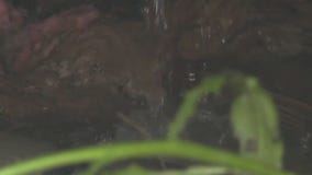 Plumber problem: Milwaukee woman frustrated