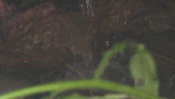 Plumber problem: Milwaukee woman frustrated