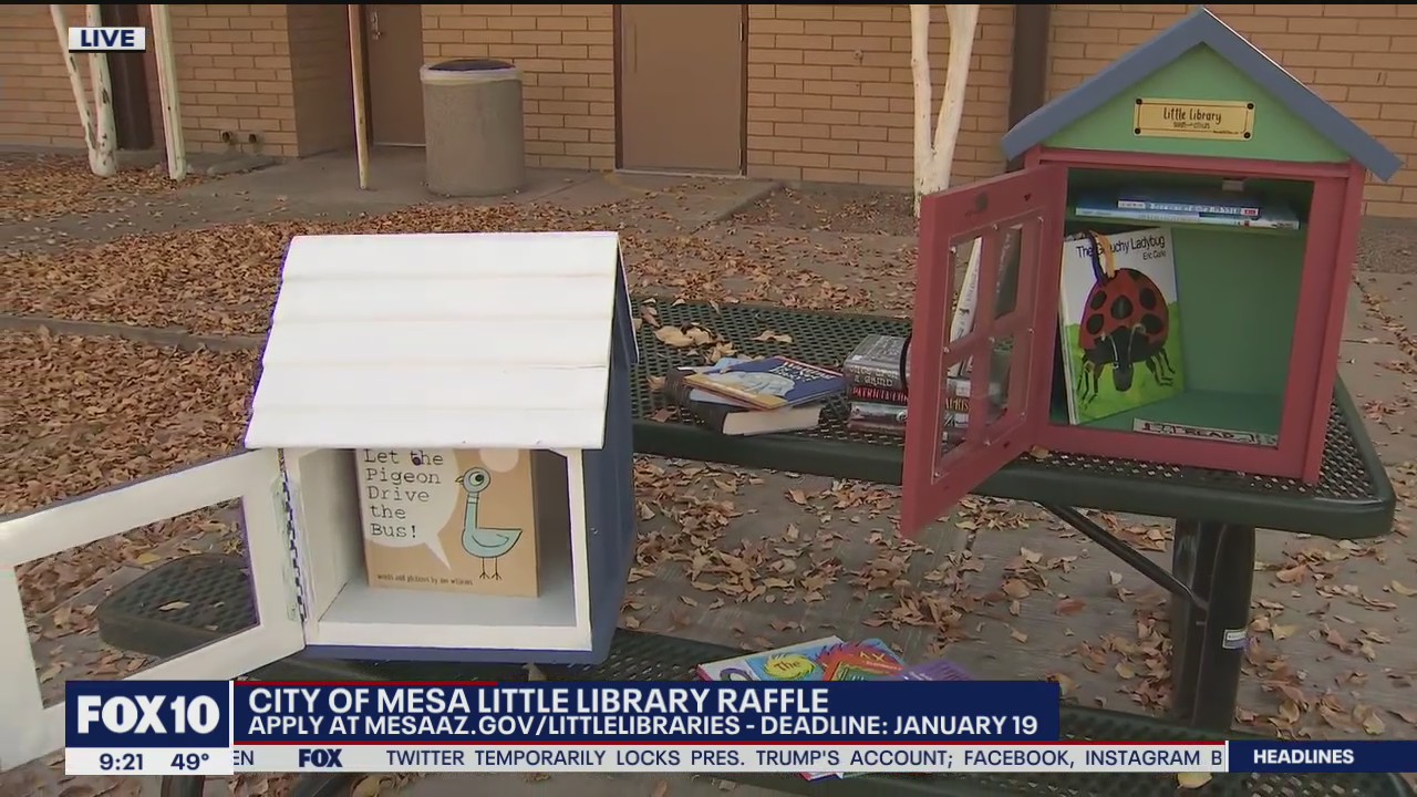City of Mesa holds Little Libraries raffle