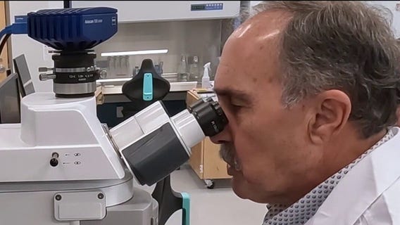 Scientific breakthroughs in 2025