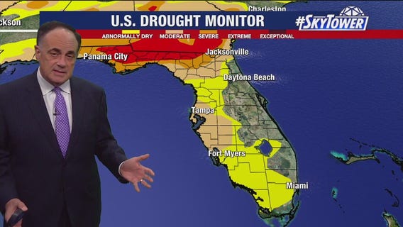 Tampa Weather | Sunny, but rain is needed