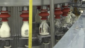 Danzeisen Dairy | Made in Arizona