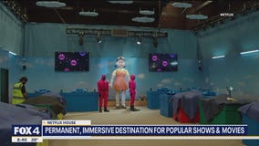 Interactive experience for Netflix TV shows & movies