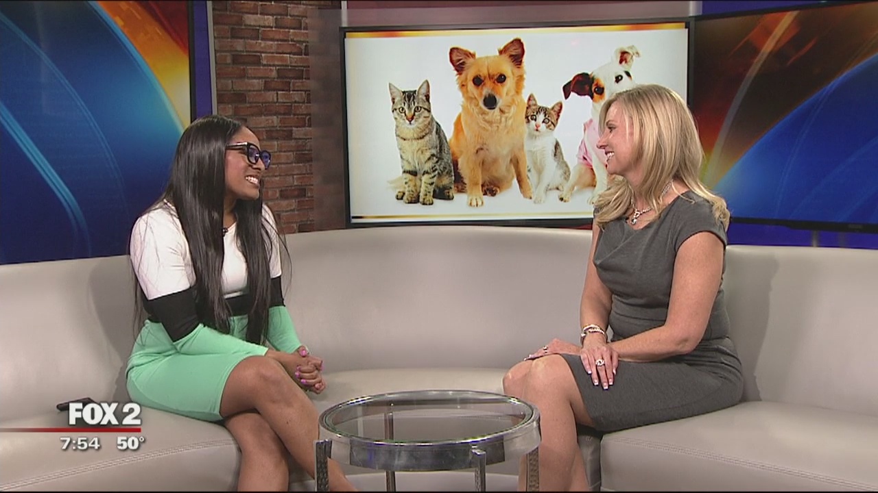 Budgeting Tips for Your Pets