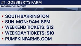 Pumpkin farms to check out in the Chicago area