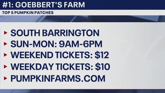 Pumpkin farms to check out in the Chicago area