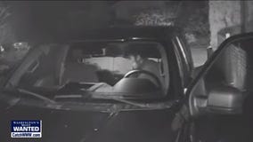 WANTED: Serial car prowl suspect