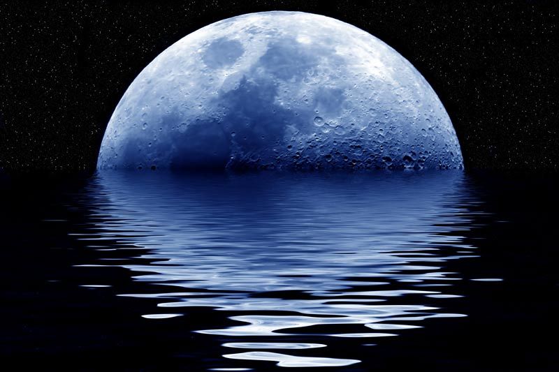 What is a Blue Moon and what makes this one so special?