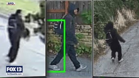 Man wanted in violent Seattle attack of elderly woman