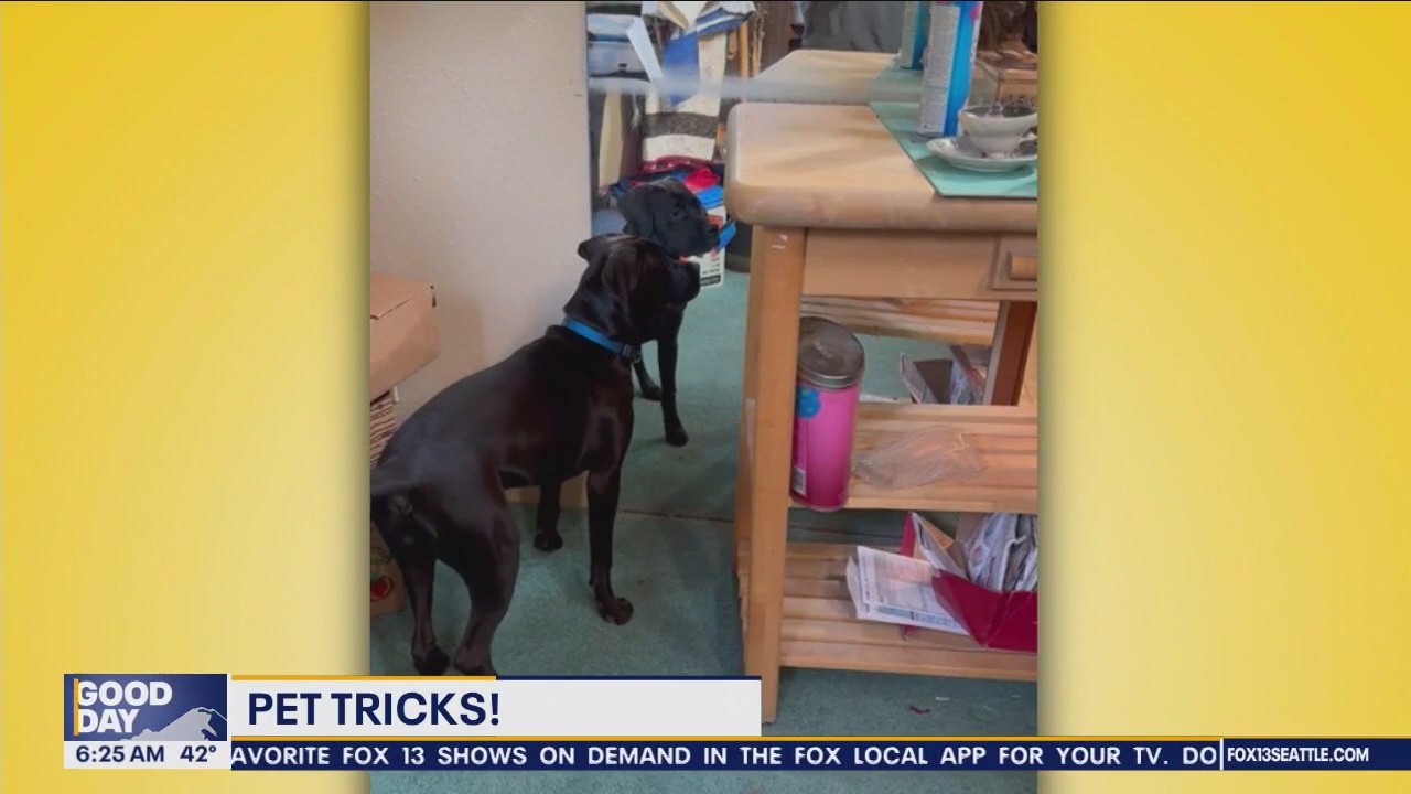 Pet Tricks for Friday, January 5
