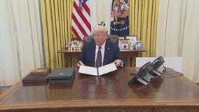 Can President Trump end birthright citizenship? | D.C. Daily