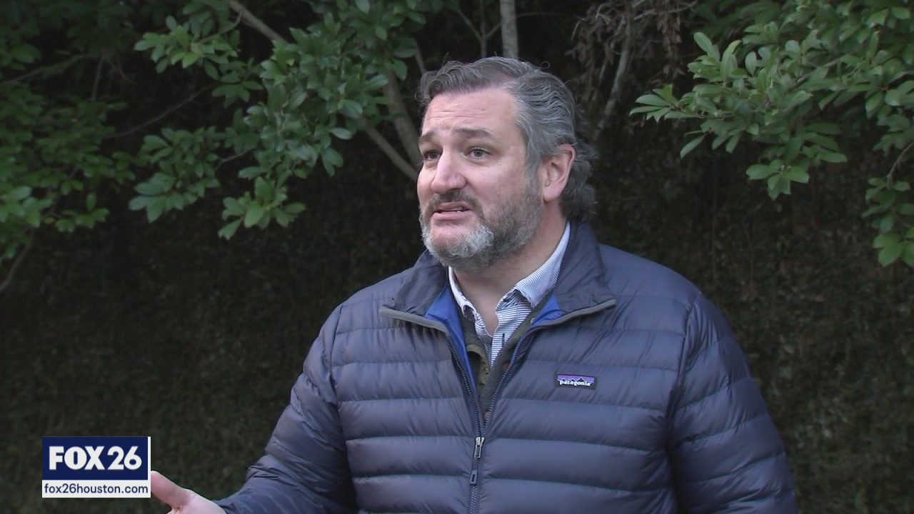 Senator Ted Cruz and the trip to Mexico