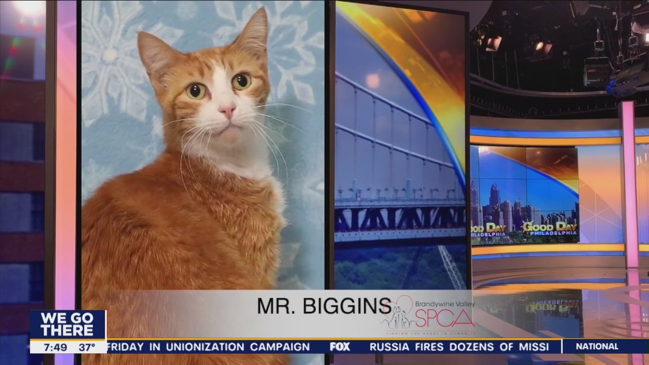 FurEver Home: December 18, 2022