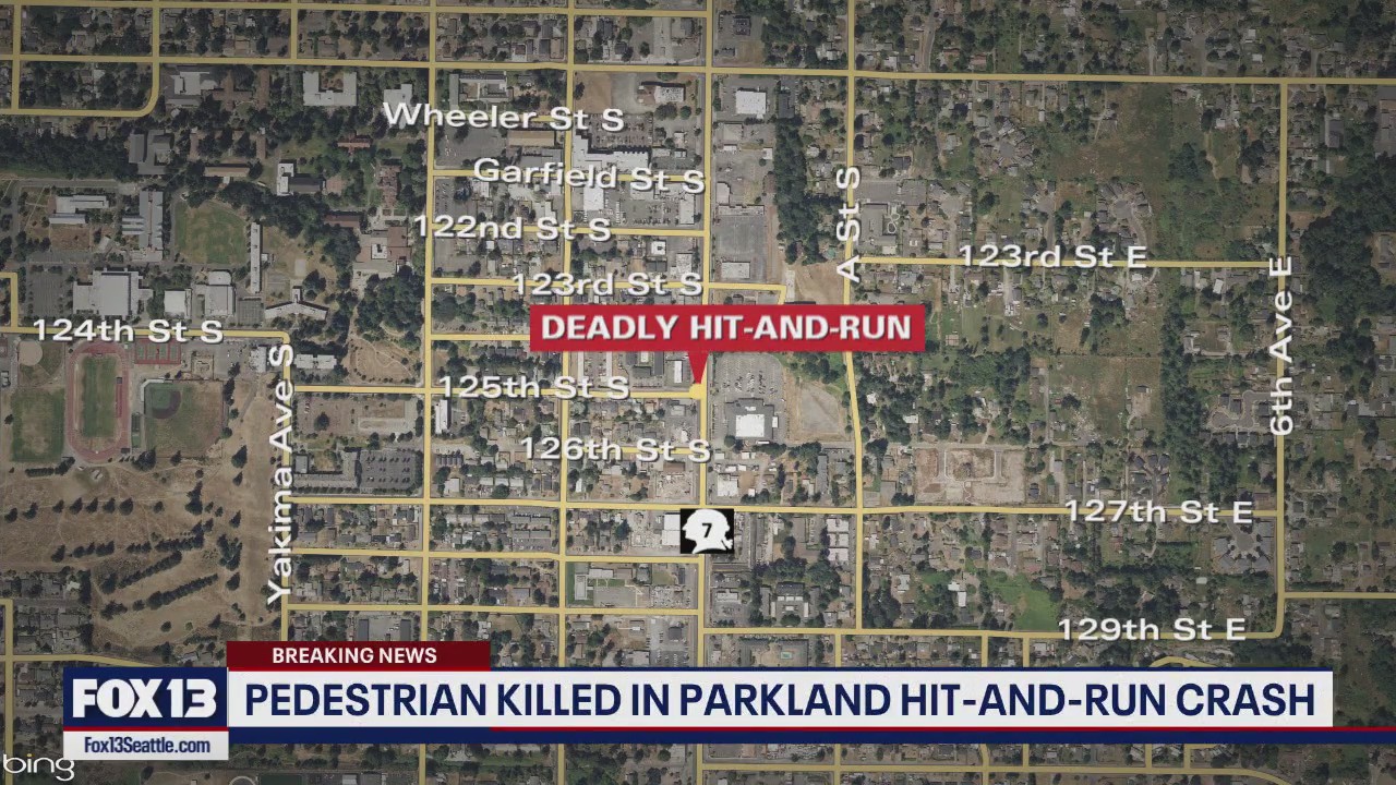 Pedestrian killed in Parkland hit-and-run crash