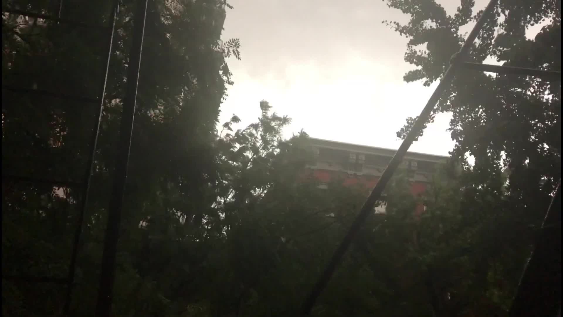 Severe storms pound region