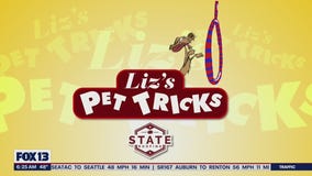 Liz?s Pet Tricks for Friday, April 8