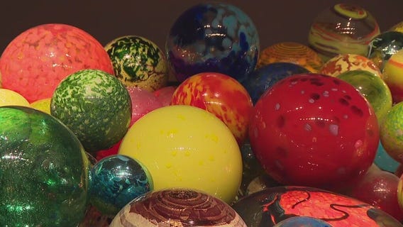 Charley's World | Chihuly collection in St. Pete