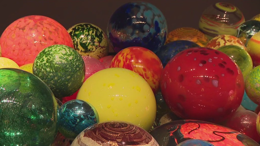 Charley's World | Chihuly collection in St. Pete