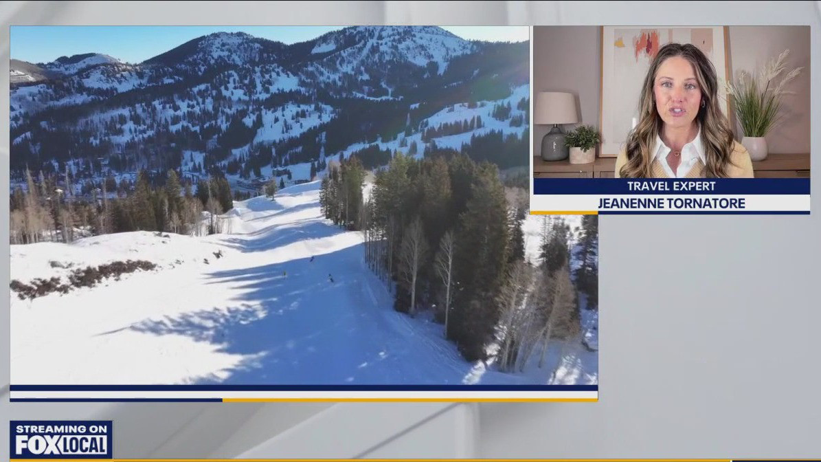 Tips for booking your next vacation