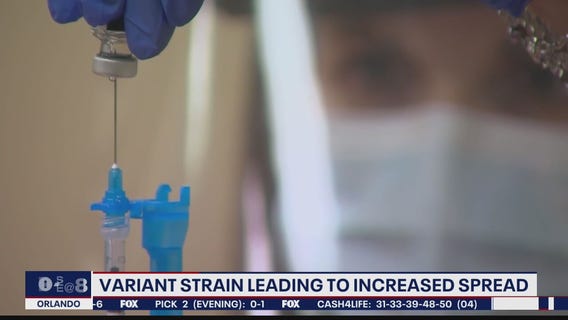 U.K. variant becoming dominant COVID strain in U.S.
