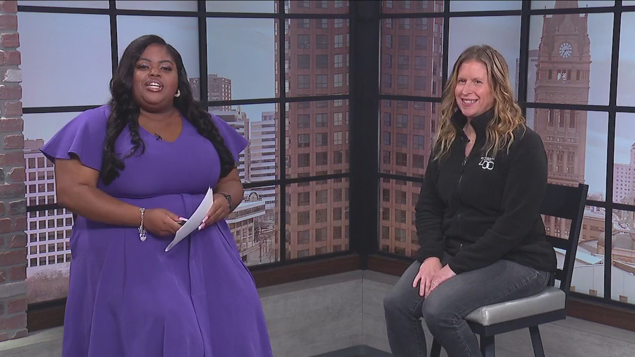 Family Free Day at the Milwaukee County Zoo