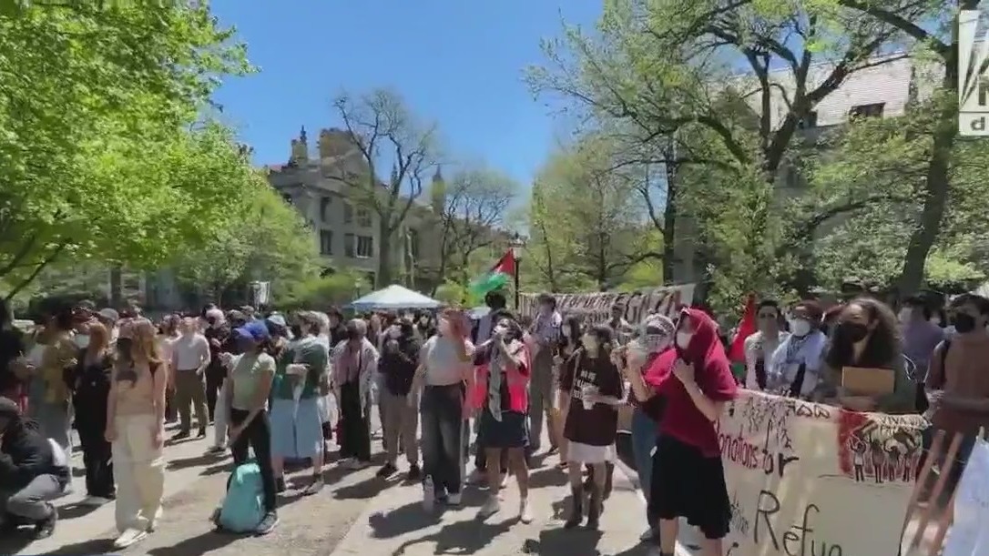 College protests: Hundreds arrested nationwide